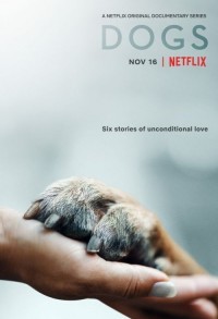 Собаки / Друг человека смотреть онлайн 3,4,5 серия