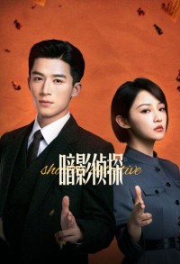 Теневой детектив смотреть онлайн 23,24,25 серия