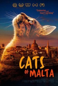 Кошки Мальты смотреть онлайн в хорошем качестве