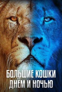 Большие кошки днём и ночью смотреть онлайн 5,6,7 серия