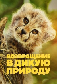 Возвращение в дикую природу смотреть онлайн 5,6,7 серия