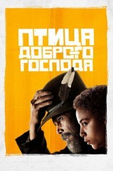 Смотреть Птичка господа милосердного онлайн в HD качестве 720p