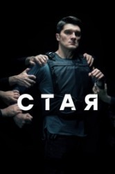 Смотреть Стая онлайн в HD качестве 720p