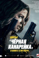 Смотреть Досье «Черная канарейка» онлайн в HD качестве 720p