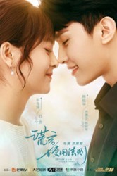 Смотреть Лучше ложь, чем правда онлайн в HD качестве 720p