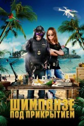 Смотреть Шимпанзе под прикрытием онлайн в HD качестве 720p