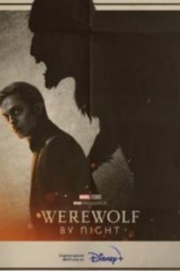 Смотреть Ночной оборотень онлайн в HD качестве 720p