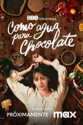 Смотреть Как вода для шоколада онлайн в HD качестве 720p