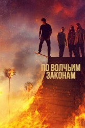 Смотреть По волчьим законам / По-волчьи выть онлайн в HD качестве 720p