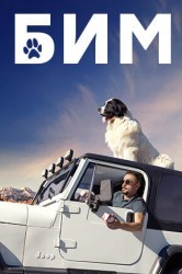 Смотреть БиМ / Пес в законе онлайн в HD качестве 720p