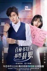 Смотреть Секретарь Бай хочет уволиться онлайн в HD качестве 720p