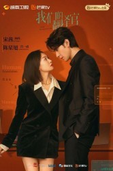 Смотреть Наш переводчик онлайн в HD качестве 720p