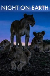 Смотреть Ночь на Земле онлайн в HD качестве 720p