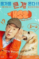 Смотреть Песель знает все онлайн в HD качестве 720p