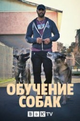 Смотреть Обучение собак онлайн в HD качестве 720p