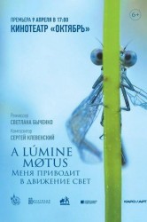 Смотреть Меня приводит в движение свет онлайн в HD качестве 720p