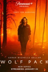 Смотреть Волчья стая онлайн в HD качестве 720p