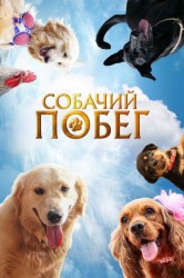 Смотреть Собачий побег онлайн в HD качестве 720p