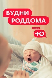 Смотреть Будни роддома онлайн в HD качестве 720p