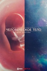 Смотреть Человеческое тело: мир внутри онлайн в HD качестве 720p