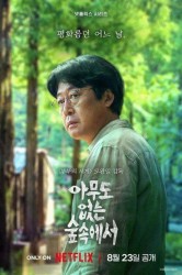 Смотреть В лесу в одиночестве онлайн в HD качестве 720p