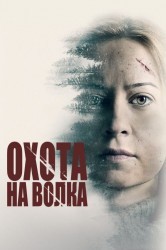 Смотреть Серенький волчок онлайн в HD качестве 720p