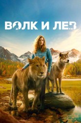 Смотреть Волк и лев онлайн в HD качестве 720p