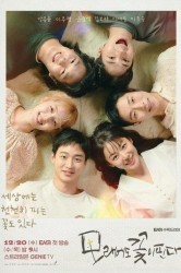 Смотреть Песчаный цветок онлайн в HD качестве 720p