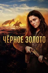 Смотреть Чёрное золото онлайн в HD качестве 720p