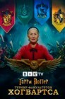 Смотреть Гарри Поттер: Турнир факультетов Хогвартса онлайн в HD качестве 