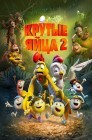Смотреть Крутые яйца 2 онлайн в HD качестве 