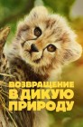 Смотреть Возвращение в дикую природу онлайн в HD качестве 
