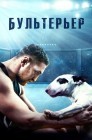 Смотреть Бультерьер онлайн в HD качестве 