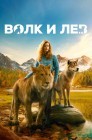 Смотреть Волк и лев онлайн в HD качестве 