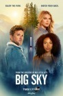 Смотреть Большое небо / Бескрайнее небо онлайн в HD качестве 